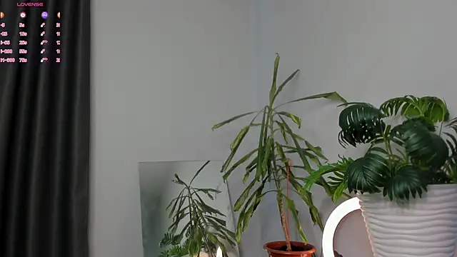 Snapshot of ManiJuanaa chatting on 8, 5, 2026 ManiJuanaa online show from 8, 5, 2026