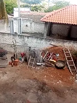     gozada---- online show from 13, 1, 2026