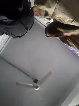 HadDrawers online show from 5, 2, 2026