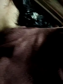 Snapshot of yu--yo chatting on 21, 3, 2026 yu--yo online show from 21, 3, 2026