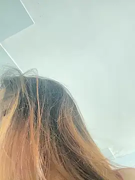 An-An19 online show from 5, 3, 2026