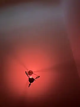 witchdub online show from 18, 2, 2026