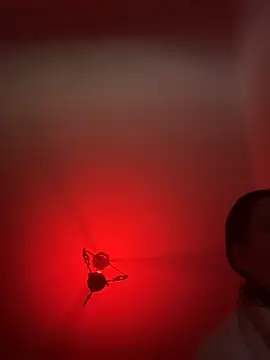 witchdub online show from 24, 2, 2026