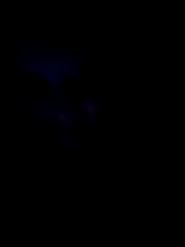 Snapshot of Sonja200 chatting on 8, 1, 2026 Sonja200 online show from 8, 1, 2026