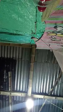 meganparixx online show from 27, 3, 2026