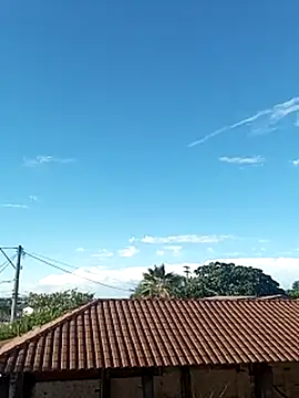 --------bucetuda------- online show from 8, 1, 2026