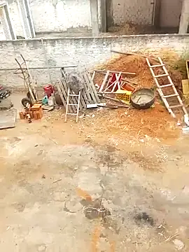 --------bucetuda------- online show from 9, 1, 2026