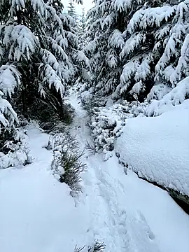 Snapshot of Marina_und_Jayden chatting on 18, 2, 2026 Marina und Jayden online show from 18, 2, 2026