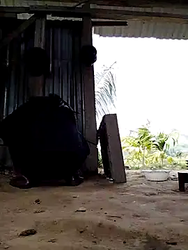 Ginny 2x online show from 16, 3, 2026