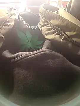 dildarlund online show from 9, 1, 2026