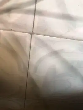 Puth Gdvbb online show from 10, 1, 2026