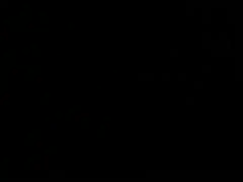 SkinnyForYou1 online show from 10, 1, 2026