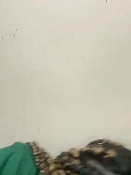diosa sofia19 online show from 6, 4, 2026