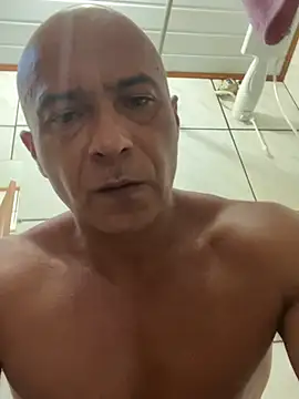 dogfrota online show from 5, 3, 2026