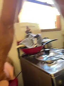 dogfrota online show from 1, 4, 2026