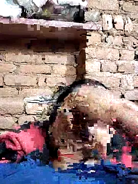 Snapshot of Hot_di97 chatting on 14, 2, 2026 Hot di97 online show from 14, 2, 2026