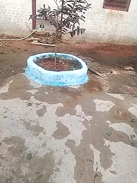 Snapshot of CUTE_khusabi chatting on 18, 1, 2026 CUTE khusabi online show from 18, 1, 2026