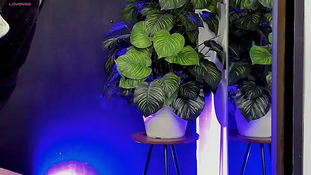 Noaah25  online show from 22, 3, 2026