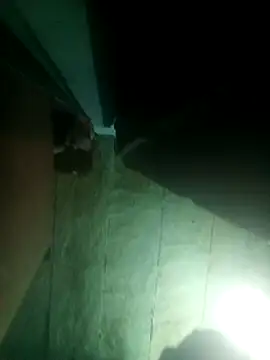 Snapshot of priyasharma899 chatting on 13, 3, 2026 priyasharma899 online show from 13, 3, 2026