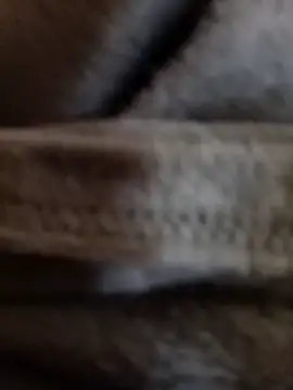 Daisy91 online show from 14, 1, 2026