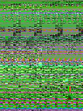 Snapshot of Wicy23 chatting on 14, 5, 2026 Wicy23 online show from 14, 5, 2026