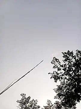 LISAA-6969 online show from 15, 4, 2026