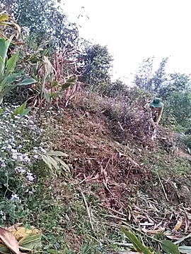 lia-coy online show from 15, 4, 2026