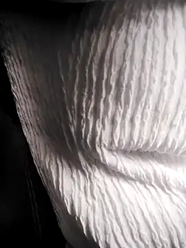 Snapshot of RosseLaure chatting on 25, 2, 2026 RosseLaure online show from 25, 2, 2026