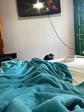 Cofla21cmm online show from 17, 1, 2026