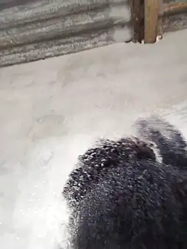 Snapshot of vaniyna chatting on 22, 2, 2026 vaniyna online show from 22, 2, 2026