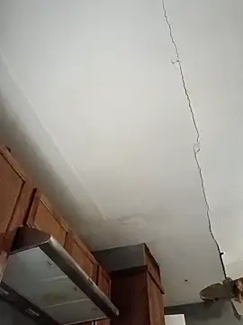 Snapshot of JoshingExegesis chatting on 14, 2, 2026 JoshingExegesis online show from 14, 2, 2026