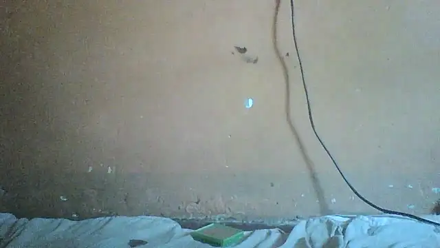 Sexyass100 online show from 17, 4, 2026