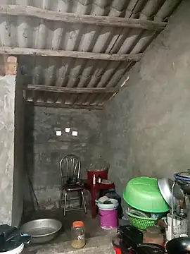 Nuna 689 online show from 23, 3, 2026