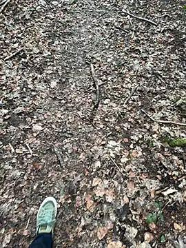 tony3729 online show from 28, 2, 2026