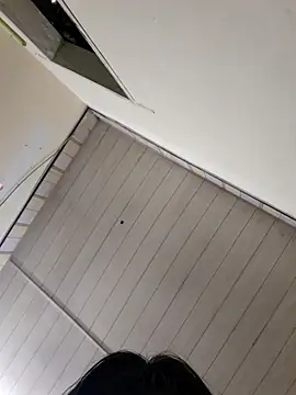 Pinks cool online show from 7, 4, 2026