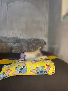 Snapshot of Iam_AlexandraRey chatting on 3, 2, 2026 Iam AlexandraRey online show from 3, 2, 2026