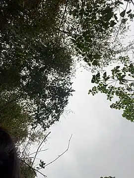 Lyn-be99 online show from 5, 3, 2026