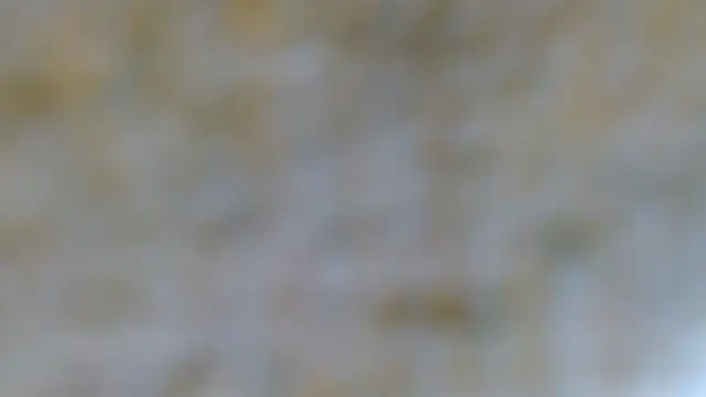 EVAN TAY online show from 7, 2, 2026