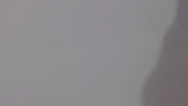 Snapshot of adara_cute_69 chatting on 5, 2, 2026 adara cute 69 online show from 5, 2, 2026