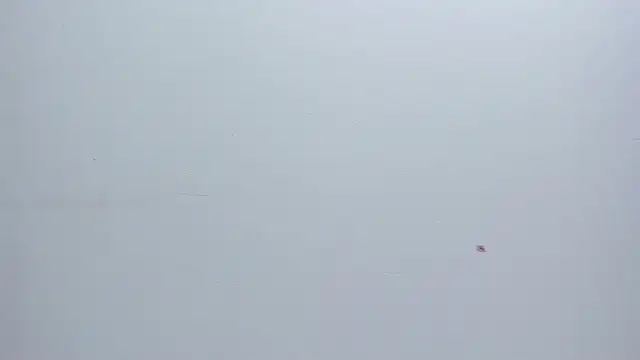 Melanie  Evans online show from 17, 3, 2026