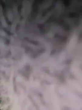 Snapshot of Puka2001 chatting on 2, 3, 2026 Puka2001 online show from 2, 3, 2026