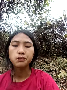 Hoa-tuylip online show from 4, 3, 2026