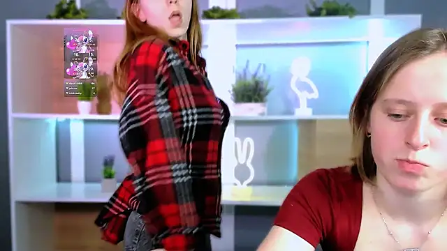 stella flower online show from 2, 2, 2026