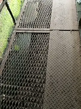 leoooooo88888 online show from 25, 2, 2026