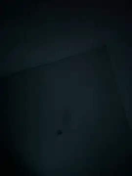 dominick fran online show from 11, 2, 2026