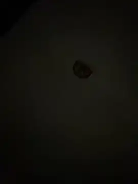 Diamanda12 online show from 1, 3, 2026