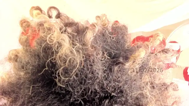 Snapshot of Brit_weston chatting on 11, 2, 2026 Brit weston online show from 11, 2, 2026