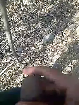 Snapshot of Cute_Boy_4 chatting on 23, 2, 2026 Cute Boy 4 online show from 23, 2, 2026