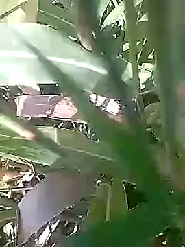 Snapshot of Cute_Boy_4 chatting on 1, 3, 2026 Cute Boy 4 online show from 1, 3, 2026