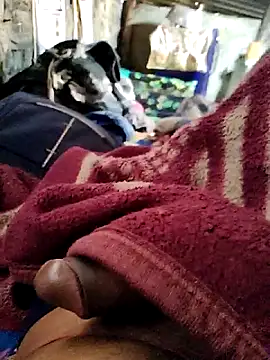 Snapshot of crazyxy12 chatting on 7, 2, 2026 crazyxy12 online show from 7, 2, 2026